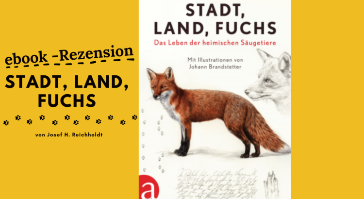 ebook Rezension Stadt Land Fuchs