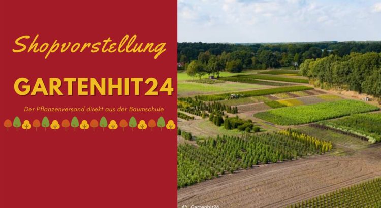 Shopvorstellung Gartenhit 24 Familiezuhaus 1680 x 945